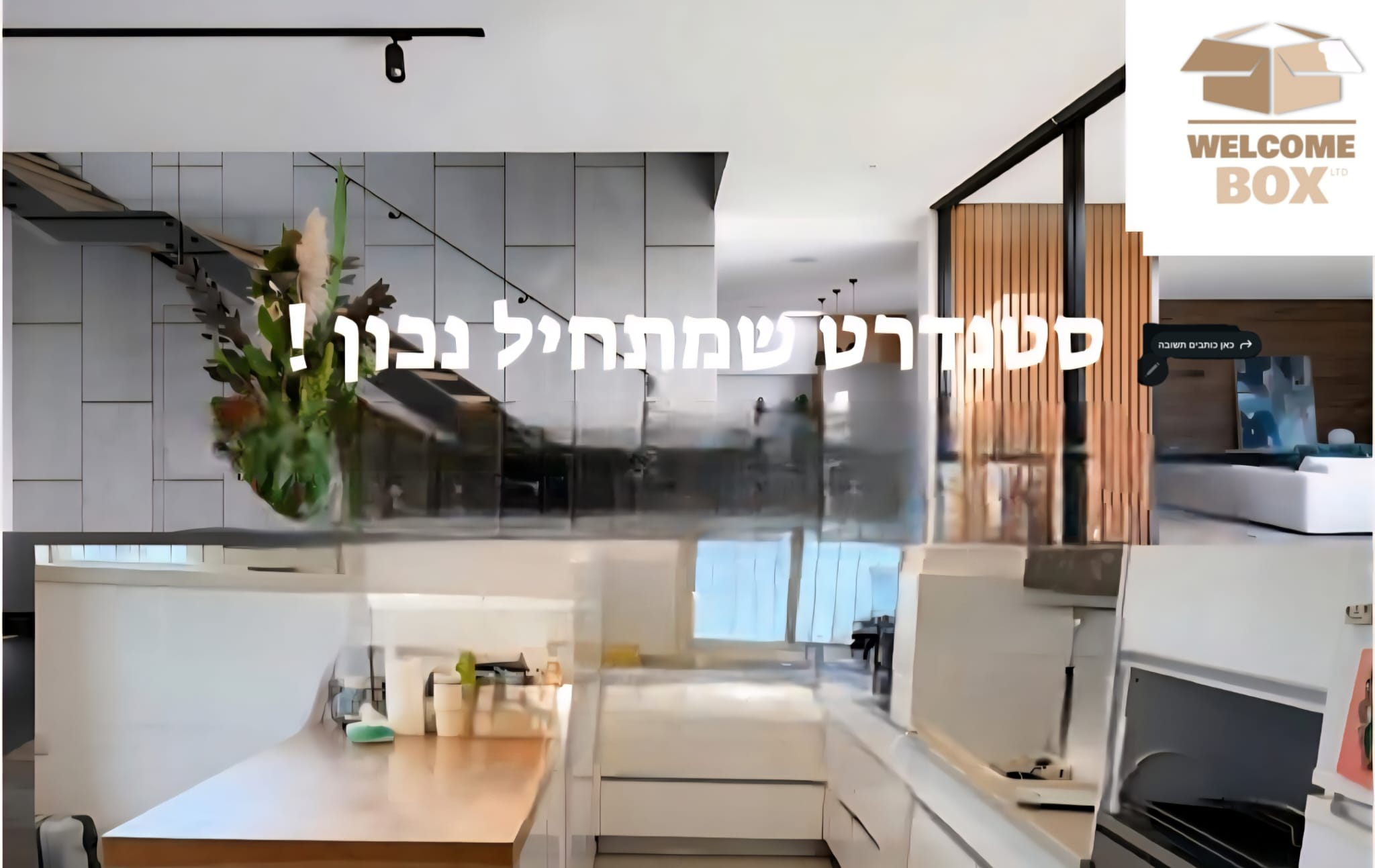 Kitchen and living area